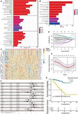 A combined signature of glycolysis and immune landscape predicts prognosis and therapeutic response in prostate cancer